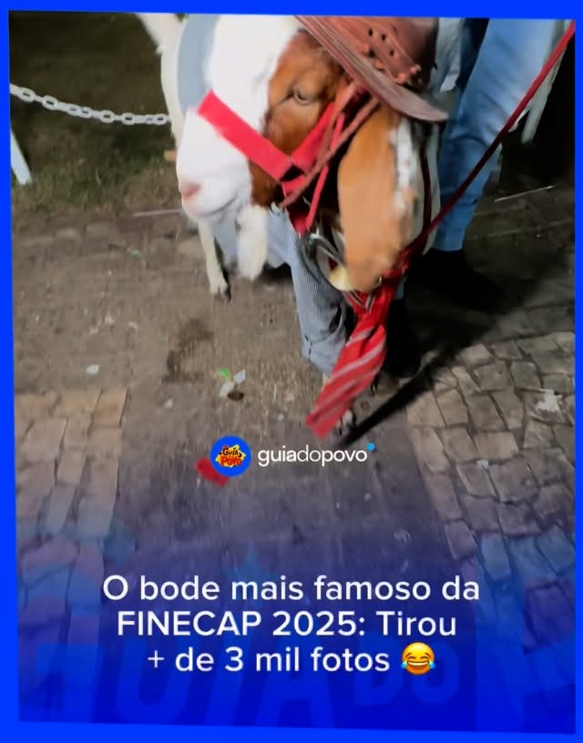 O bode mais estourado da FINECAP! 😂